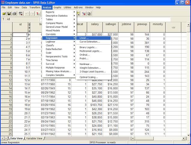 spss-programi-nedir